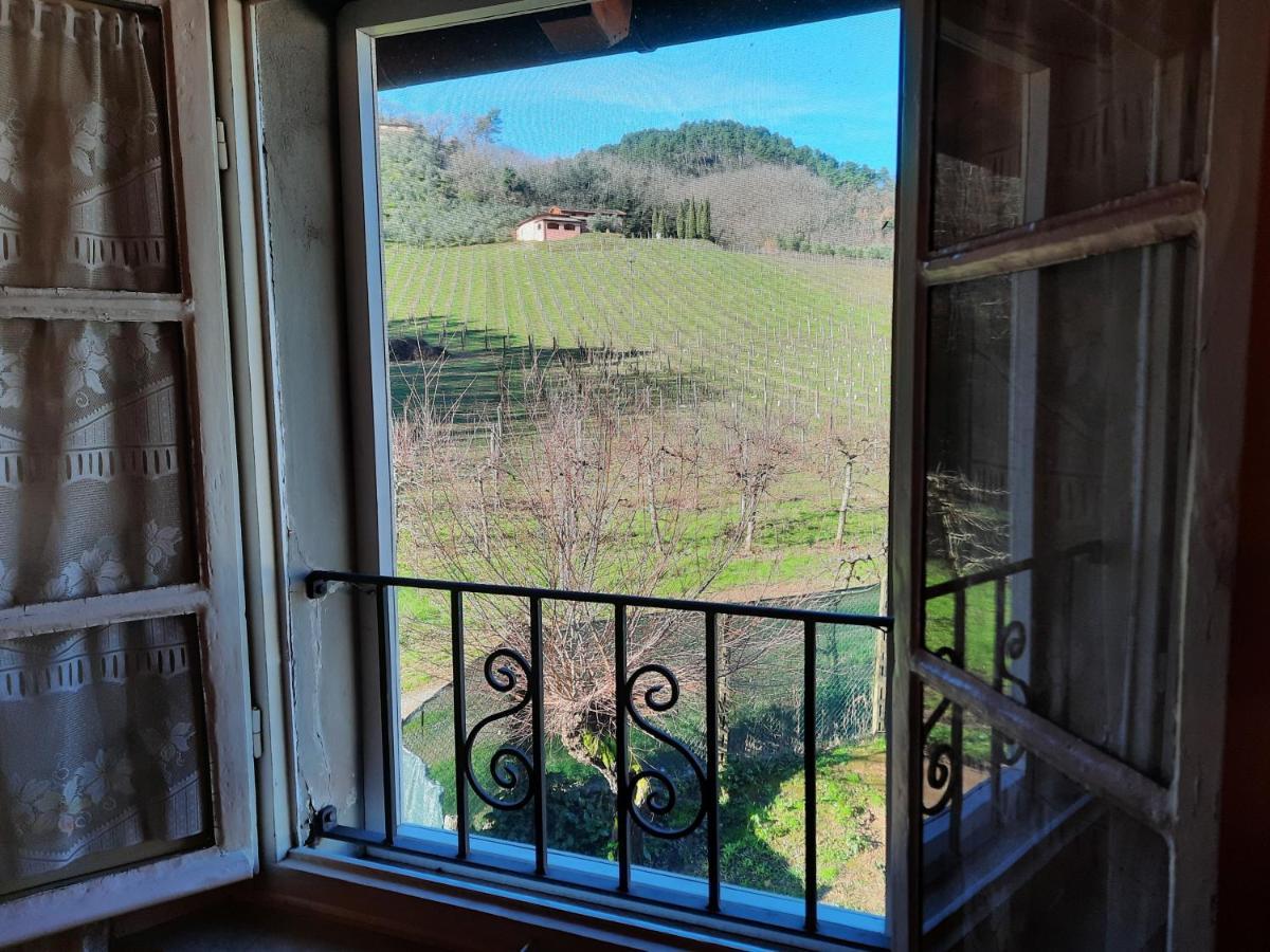 Agriturismo Tenuta Adamo لوكا المظهر الخارجي الصورة