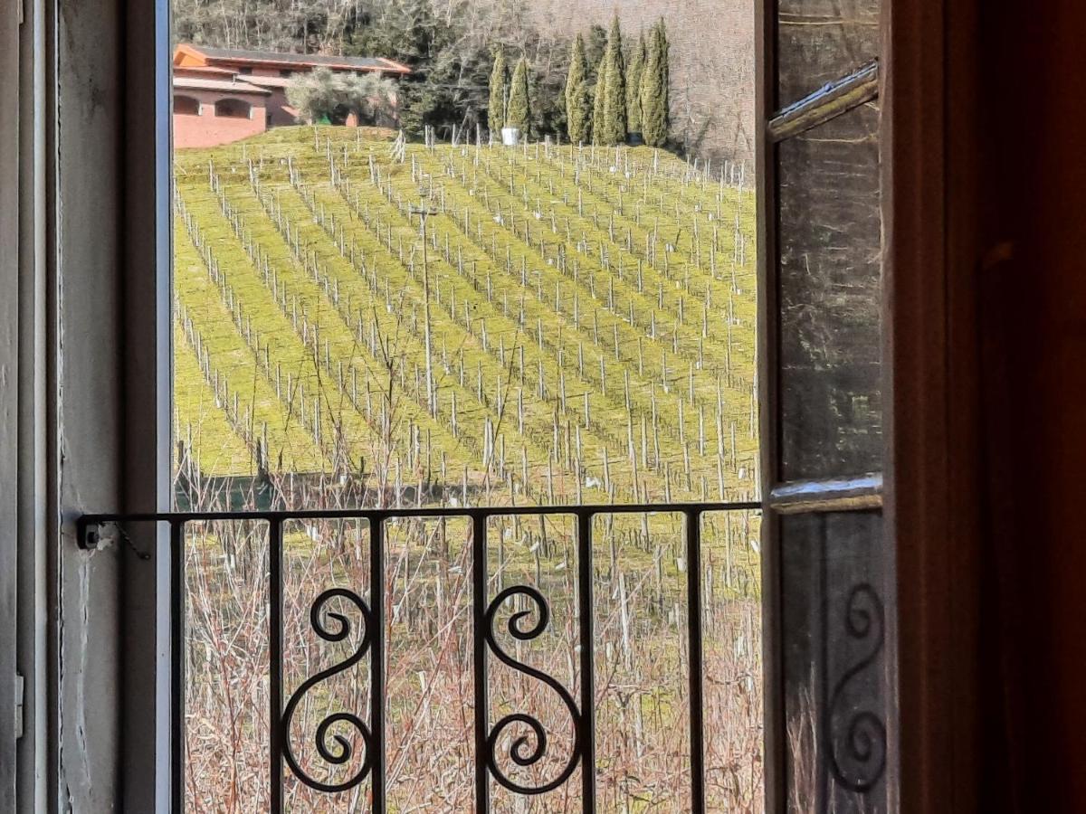 Agriturismo Tenuta Adamo لوكا المظهر الخارجي الصورة